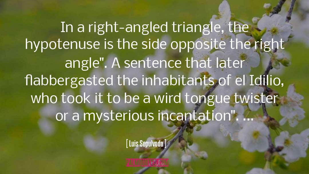 Right Angle quotes by Luis Sepulveda