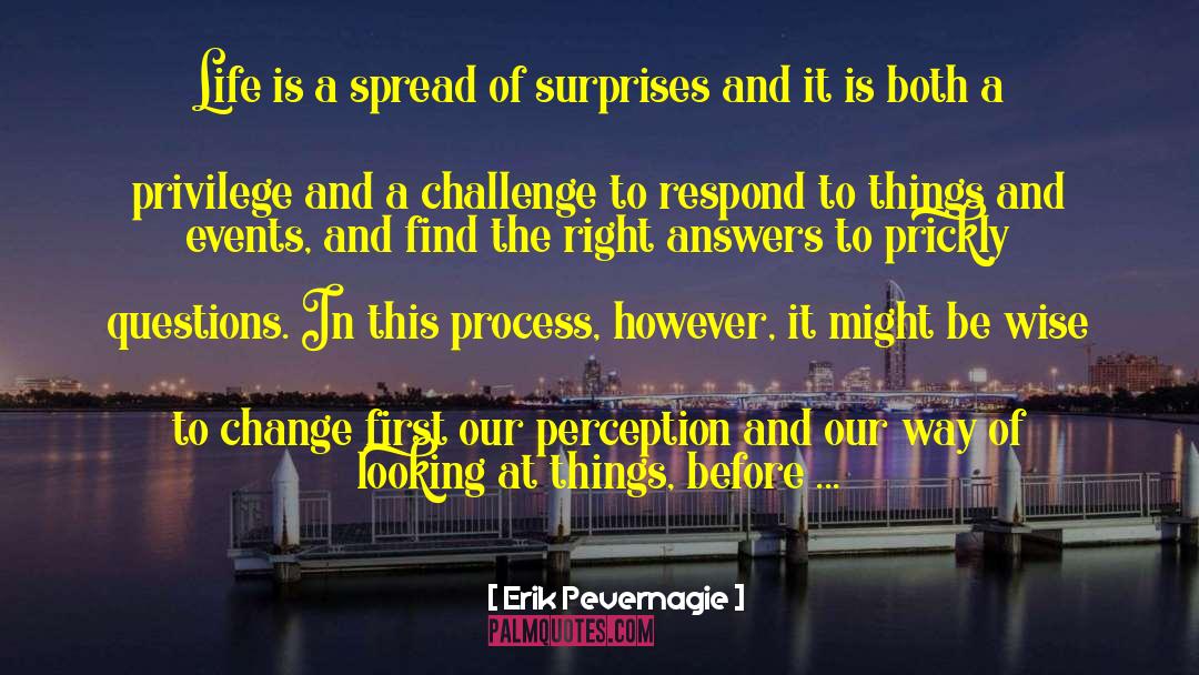 Right Answers quotes by Erik Pevernagie