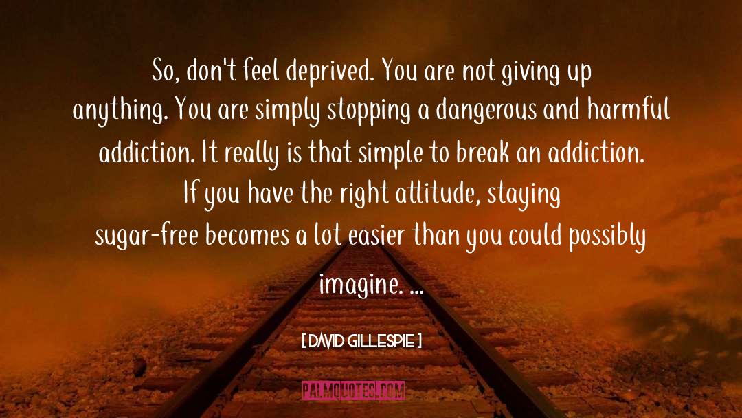 Right Attitude quotes by David Gillespie