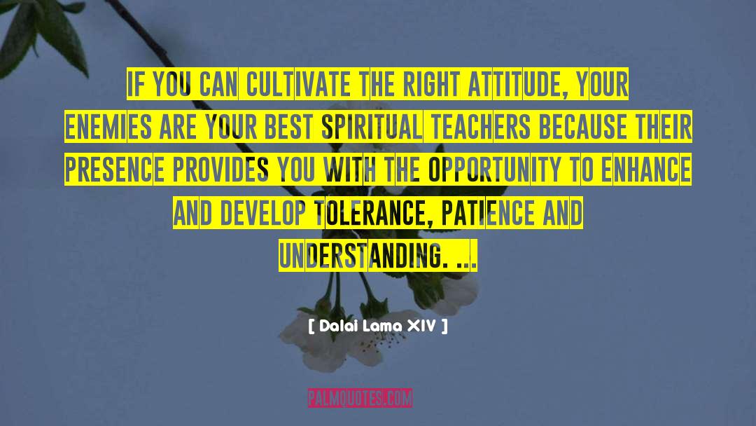 Right Attitude quotes by Dalai Lama XIV