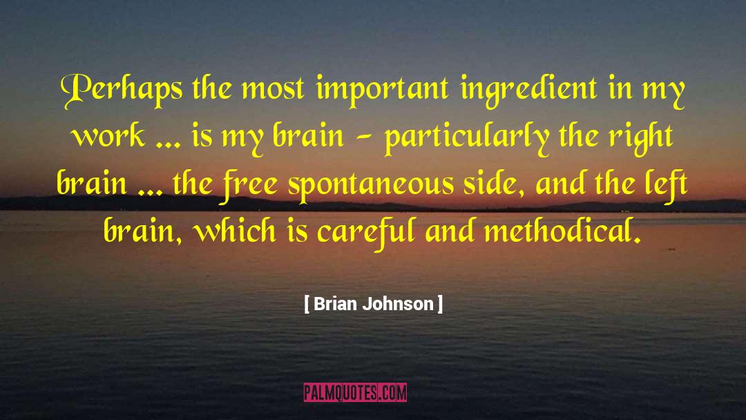 Right Brain quotes by Brian Johnson