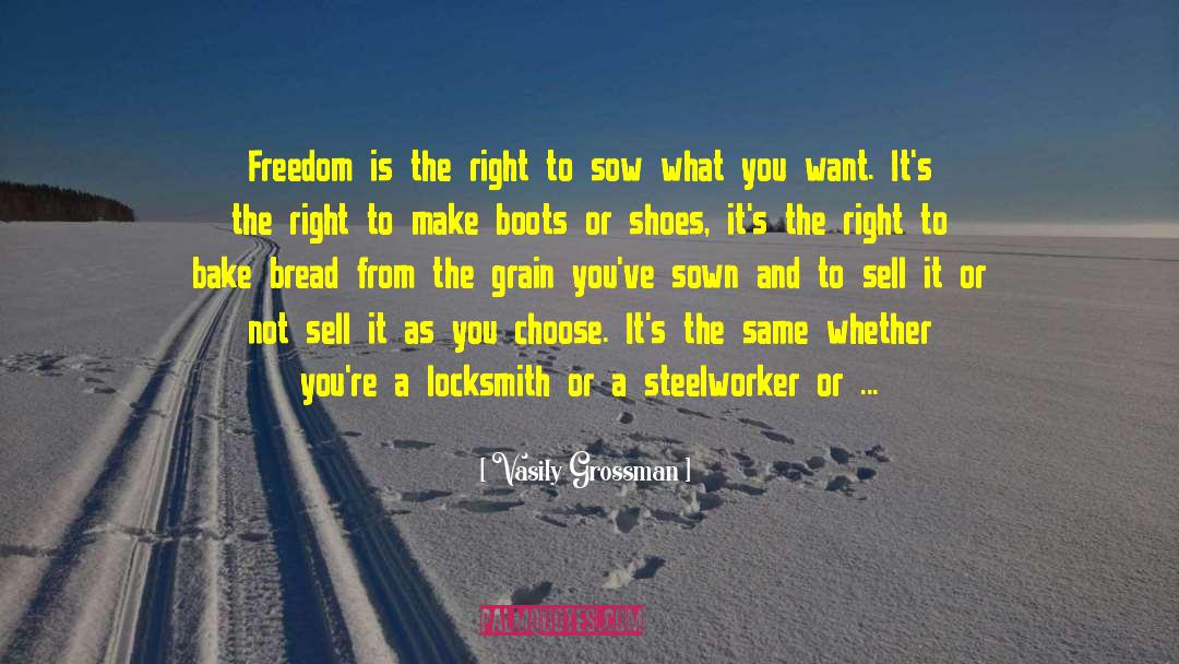 Right Decisions quotes by Vasily Grossman
