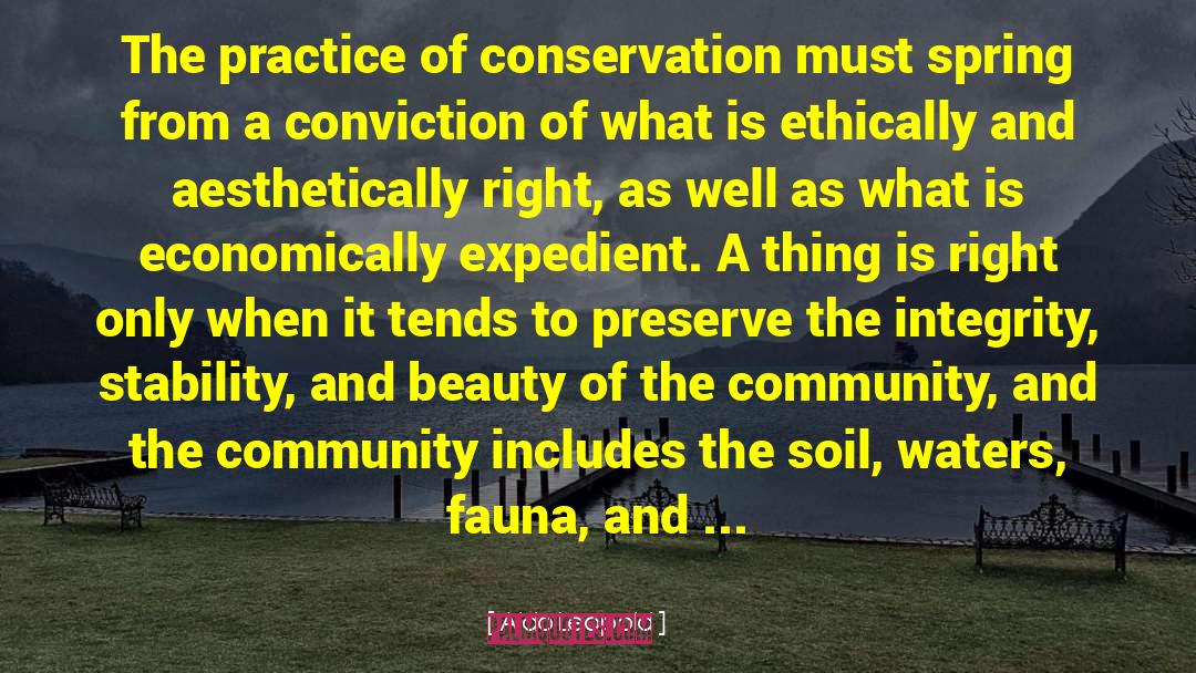 Right From Wrong quotes by Aldo Leopold