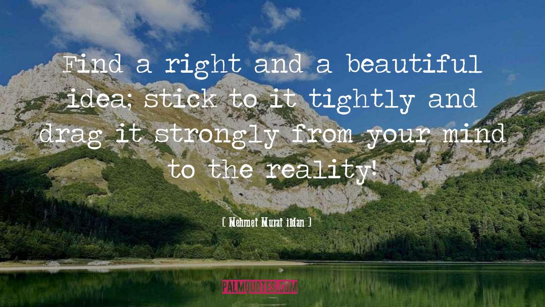 Right Idea quotes by Mehmet Murat Ildan