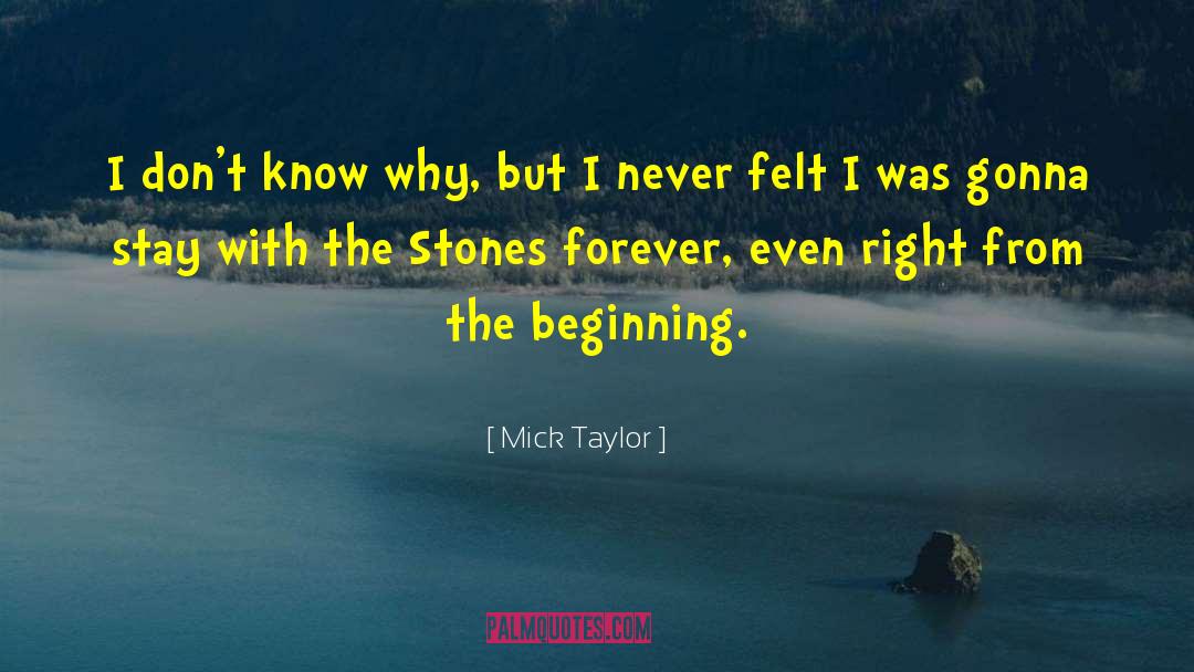 Right Idea quotes by Mick Taylor