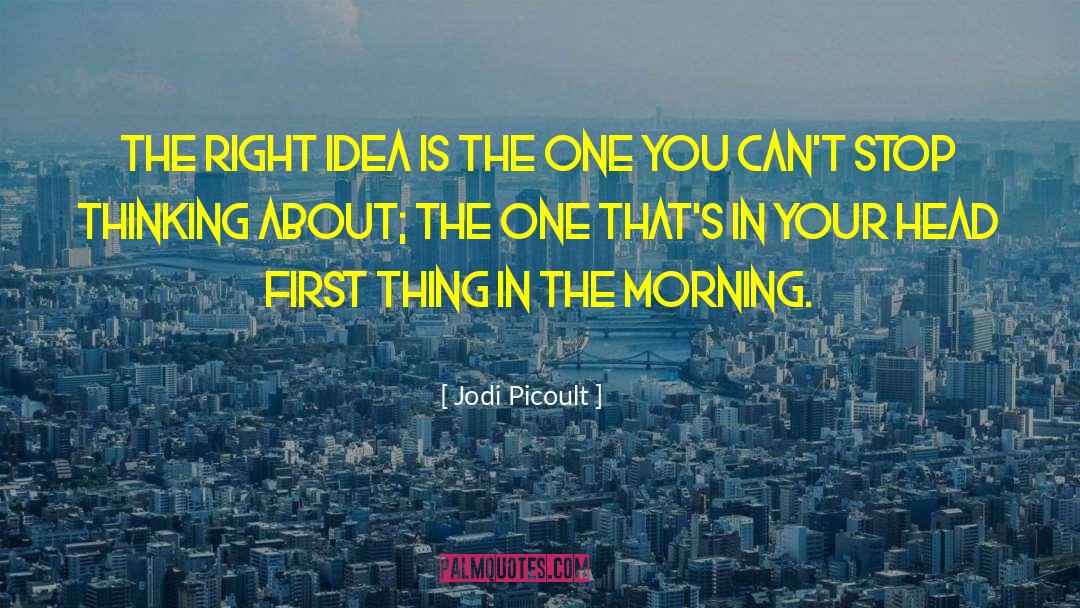 Right Idea quotes by Jodi Picoult