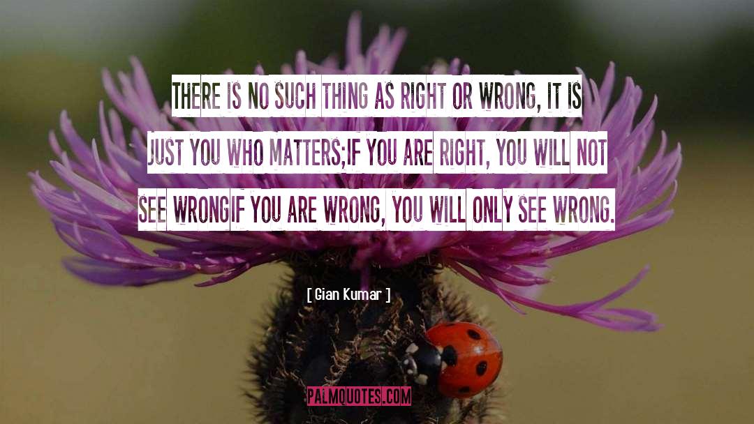 Right Or Wrong quotes by Gian Kumar