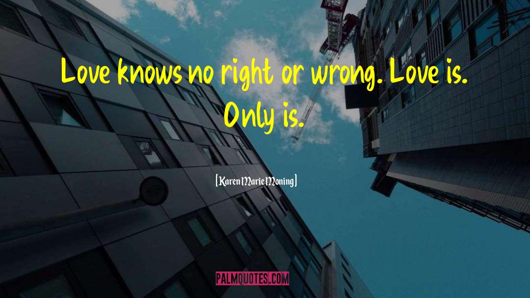 Right Or Wrong quotes by Karen Marie Moning