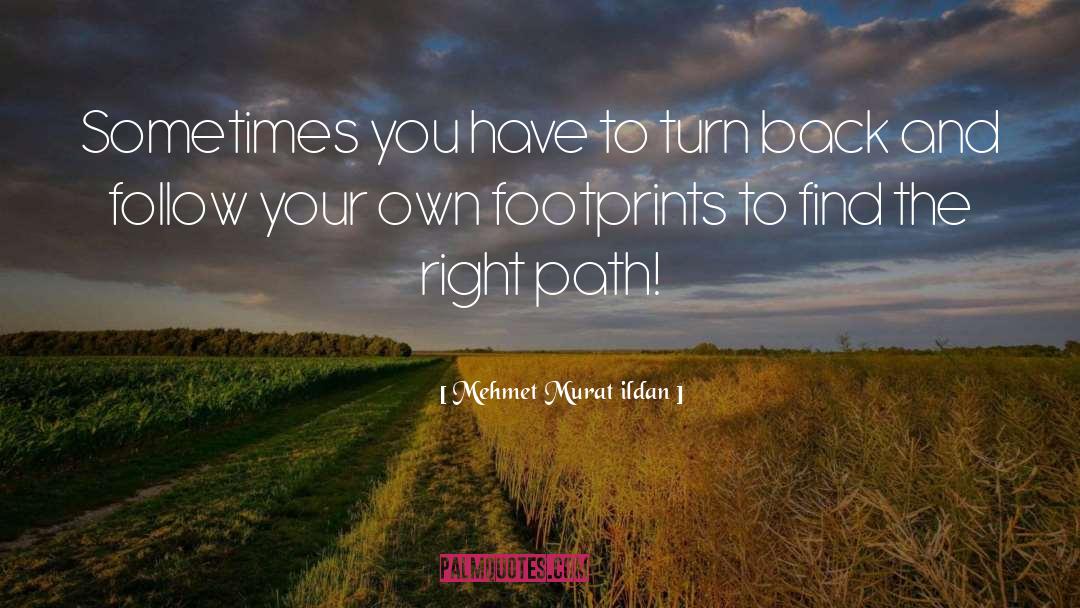 Right Paths quotes by Mehmet Murat Ildan