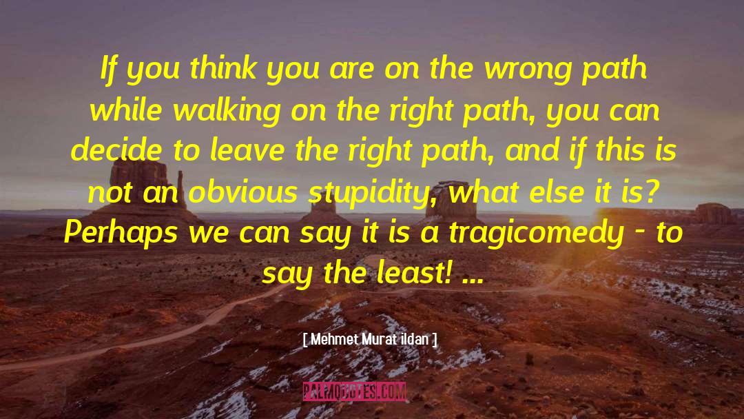 Right Paths quotes by Mehmet Murat Ildan