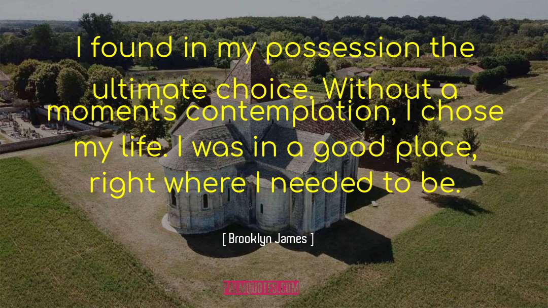 Right Place Right Time quotes by Brooklyn James