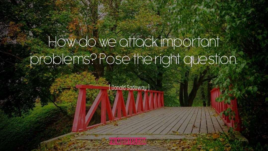 Right Question quotes by Donald Sadoway