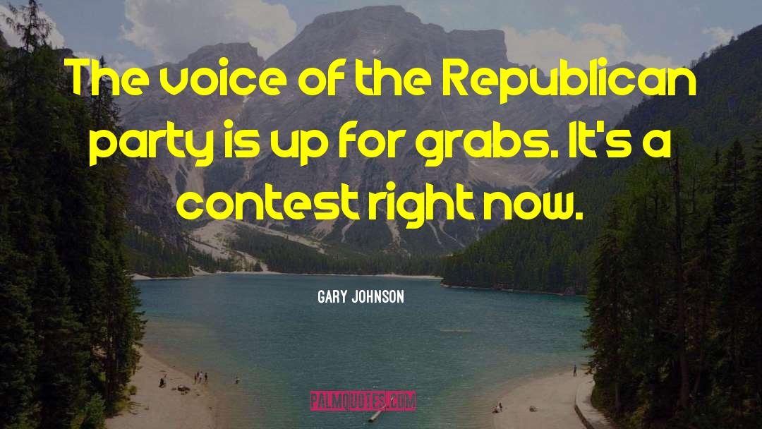 Right Speech quotes by Gary Johnson