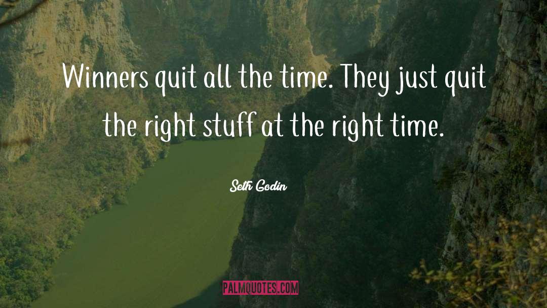 Right Stuff quotes by Seth Godin