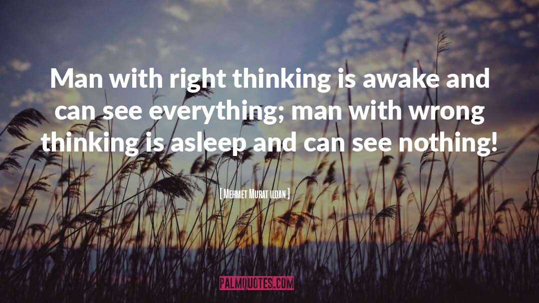 Right Thinking quotes by Mehmet Murat Ildan