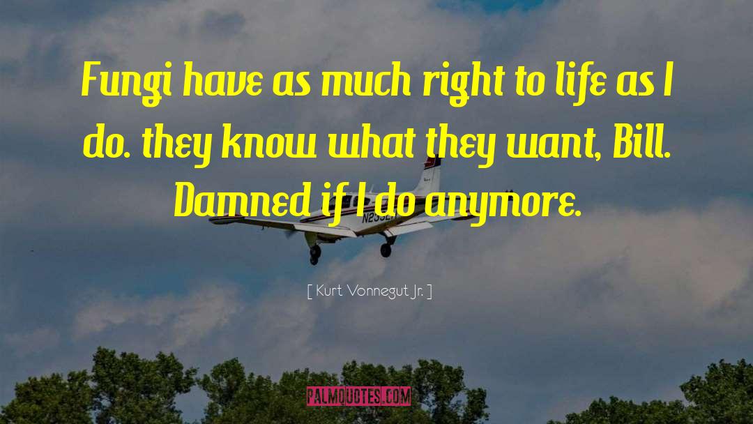 Right To Life quotes by Kurt Vonnegut Jr.