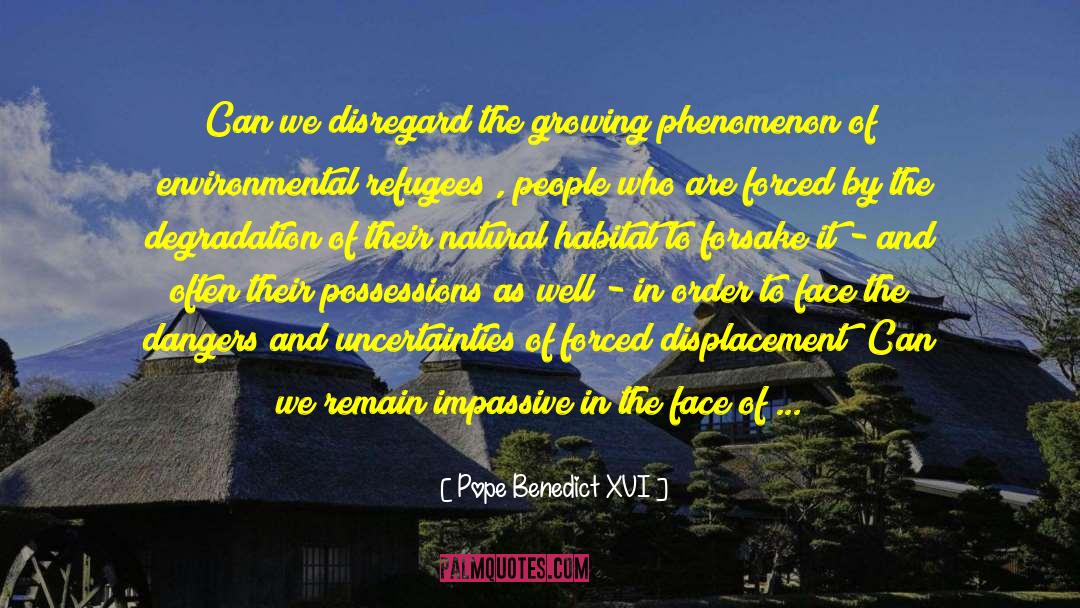 Right To Life quotes by Pope Benedict XVI