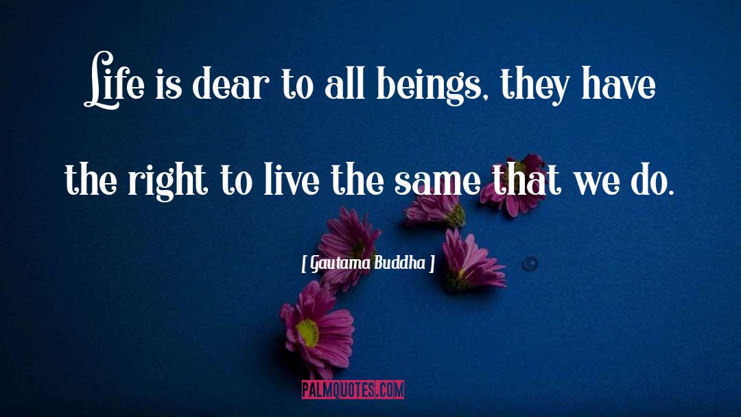 Right To Live quotes by Gautama Buddha