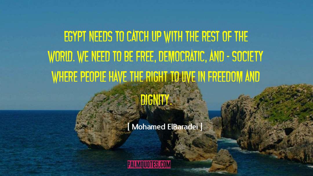 Right To Live quotes by Mohamed ElBaradei