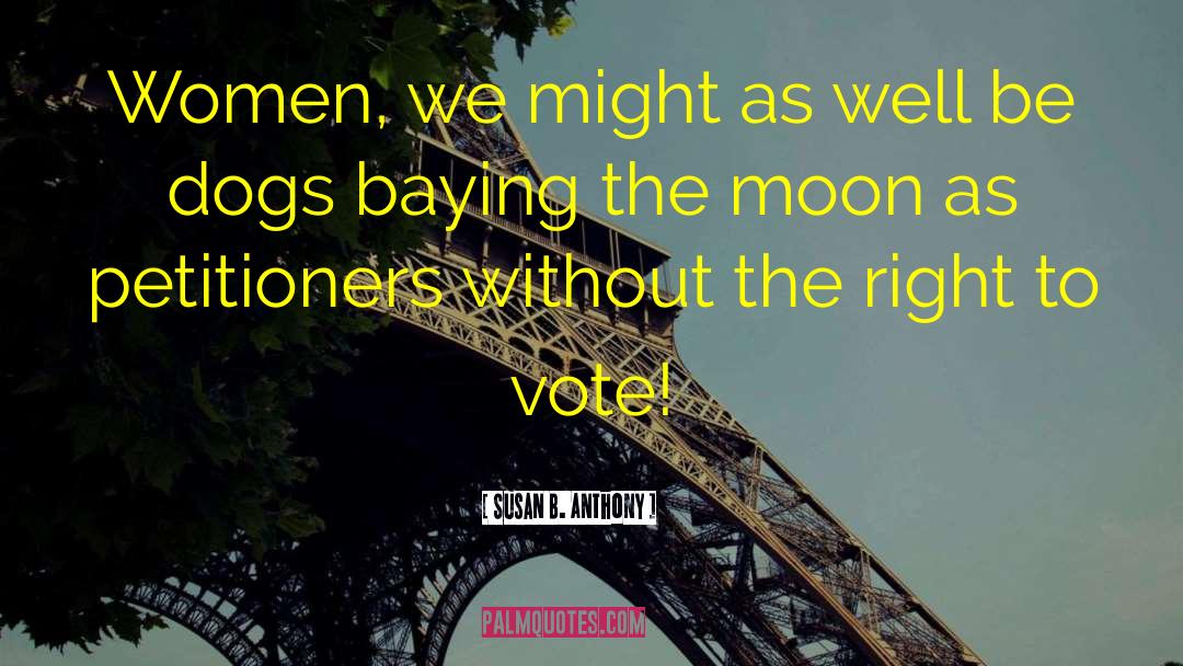 Right To Vote quotes by Susan B. Anthony