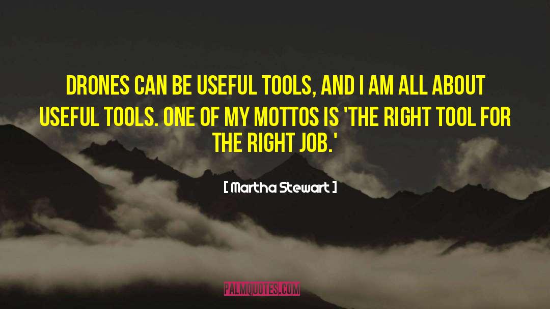 Right Tool For The Right Job quotes by Martha Stewart
