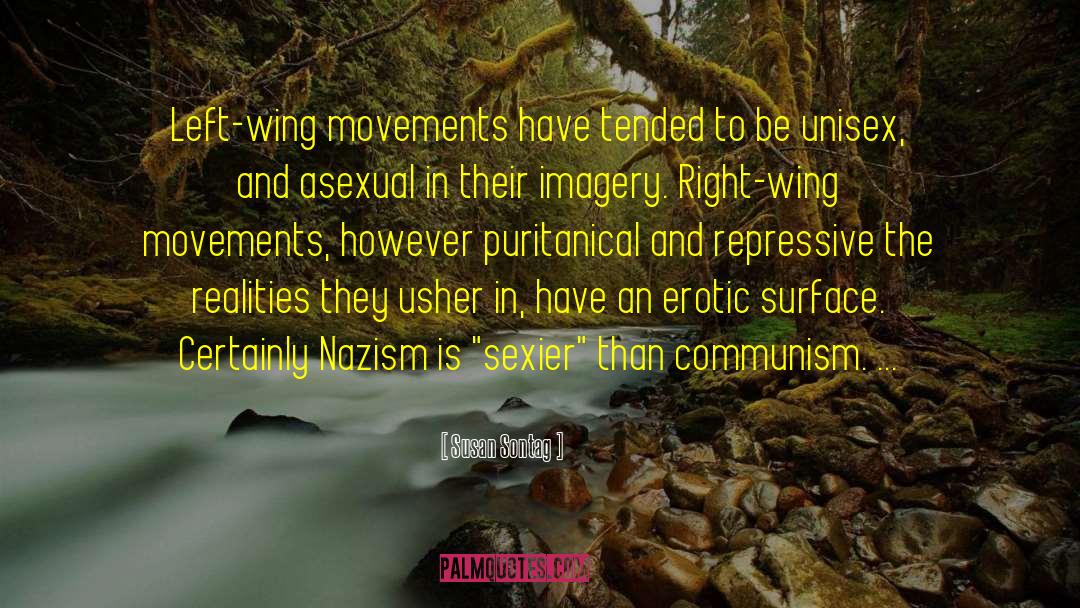 Right Wing Nuts quotes by Susan Sontag