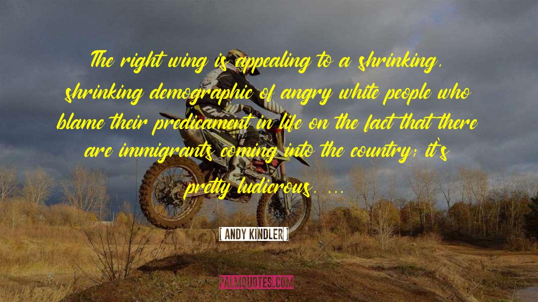 Right Wing Politics quotes by Andy Kindler