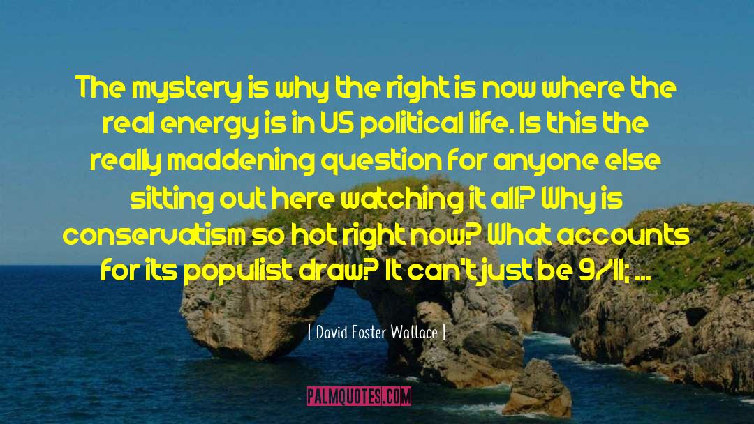 Right Wing Politics quotes by David Foster Wallace