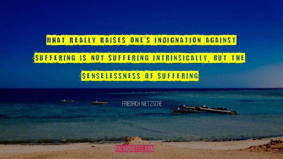 Righteous Indignation quotes by Friedrich Nietzsche