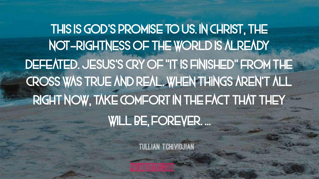 Rightness quotes by Tullian Tchividjian