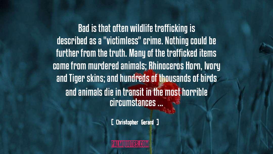 Rights Of Animals quotes by Christopher Gerard