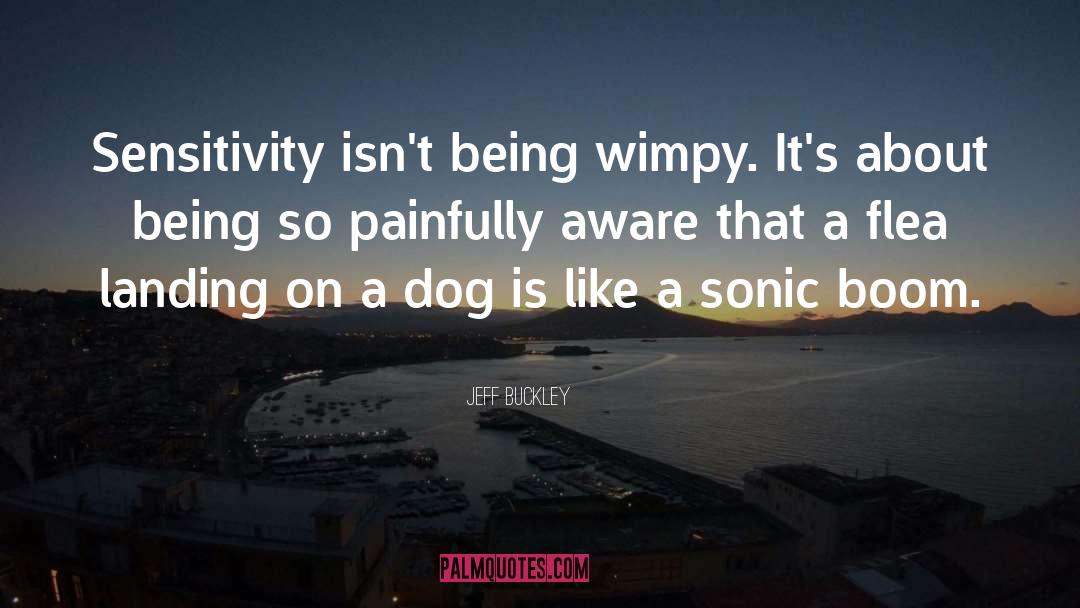 Righty Sonic quotes by Jeff Buckley