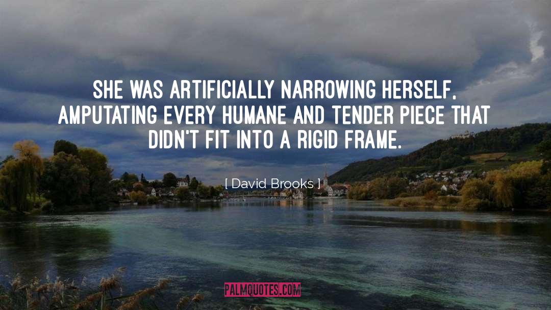 Rigid quotes by David Brooks