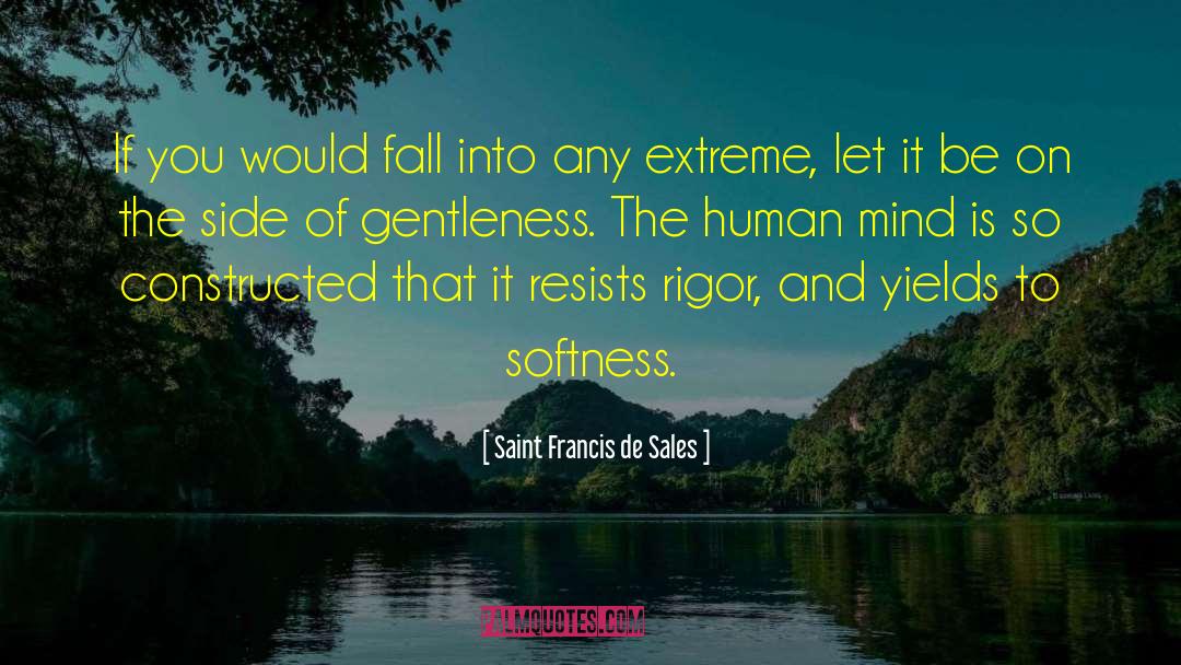 Rigor quotes by Saint Francis De Sales