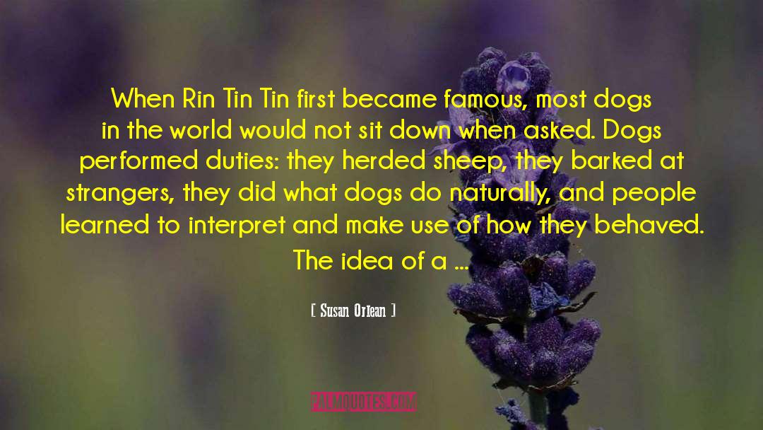 Rin quotes by Susan Orlean