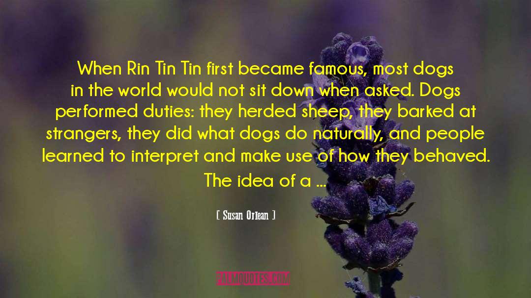 Rin Tin Tin quotes by Susan Orlean