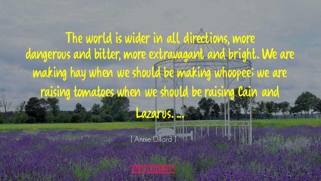 Rina Lazarus quotes by Annie Dillard