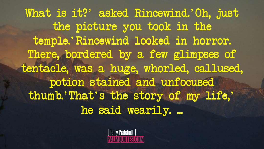 Rincewind quotes by Terry Pratchett