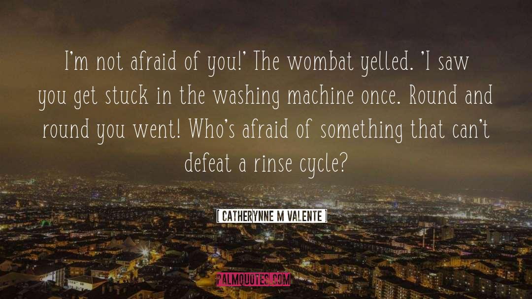 Rinse quotes by Catherynne M Valente