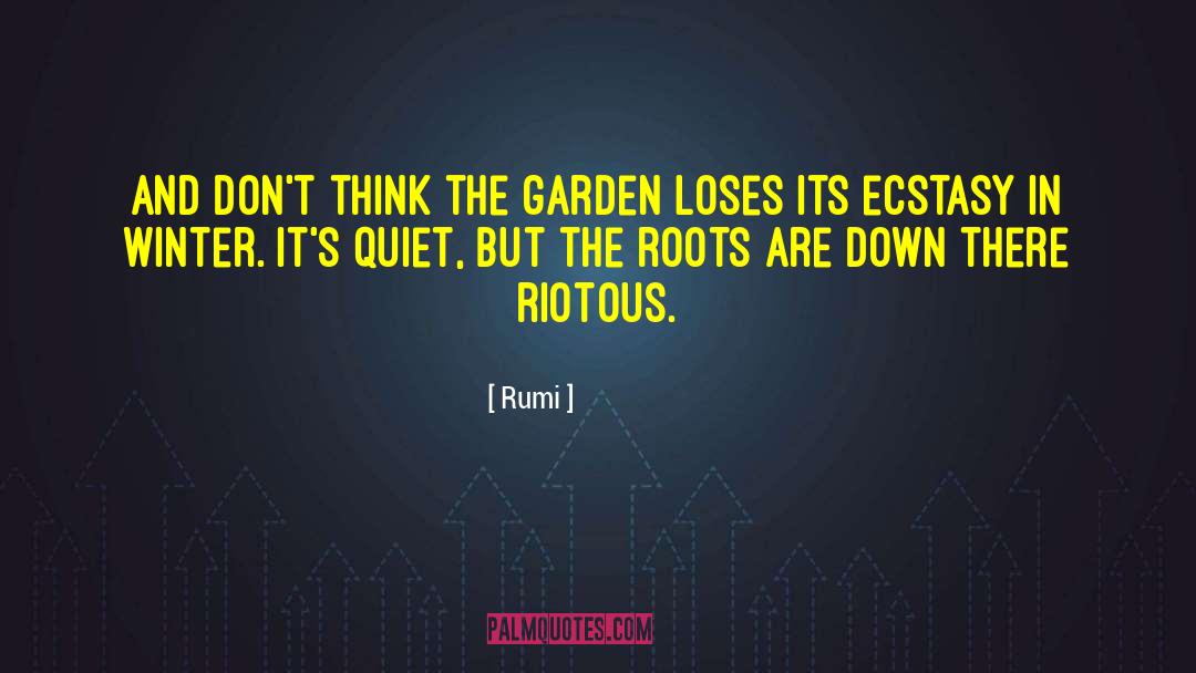 Riotous quotes by Rumi