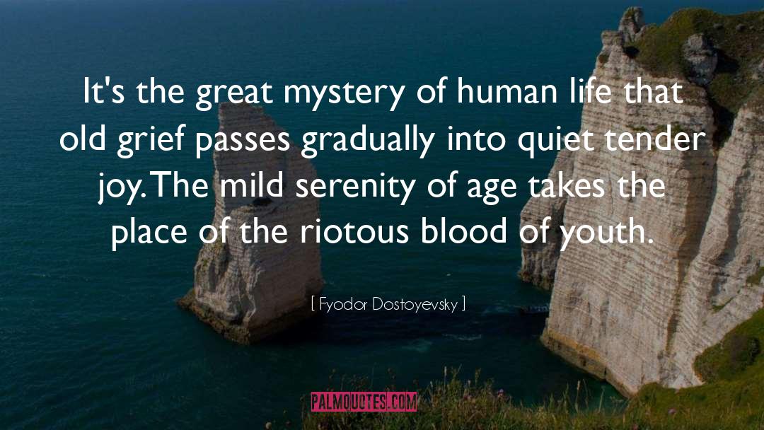 Riotous Ship Abuse quotes by Fyodor Dostoyevsky