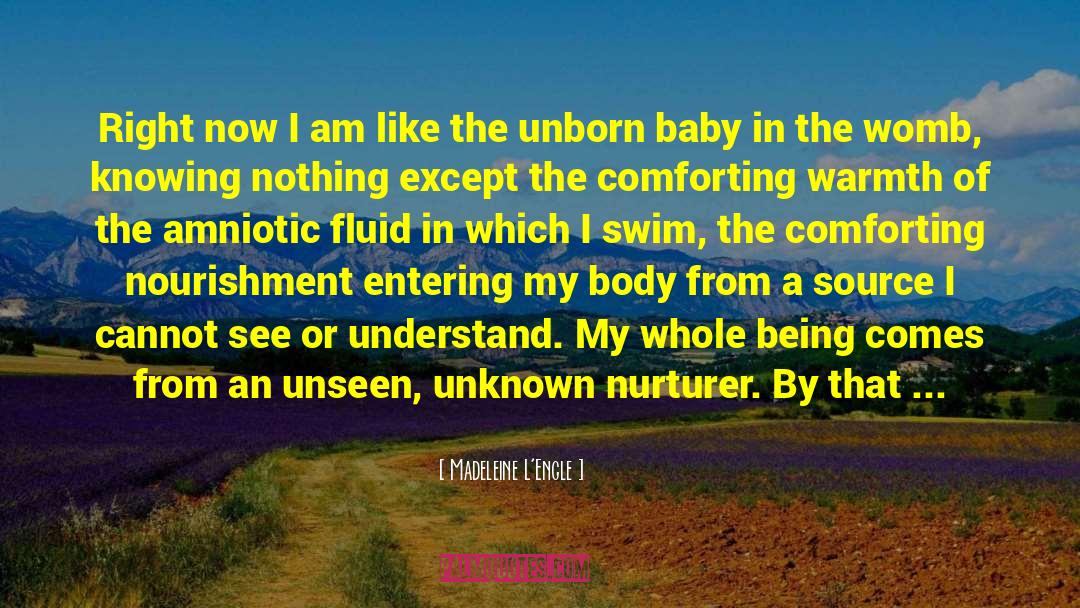 Rip Unborn Baby quotes by Madeleine L'Engle