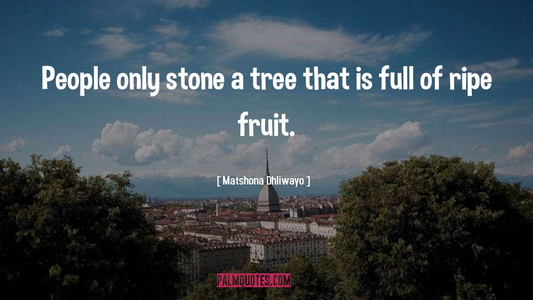 Ripe Fruit quotes by Matshona Dhliwayo