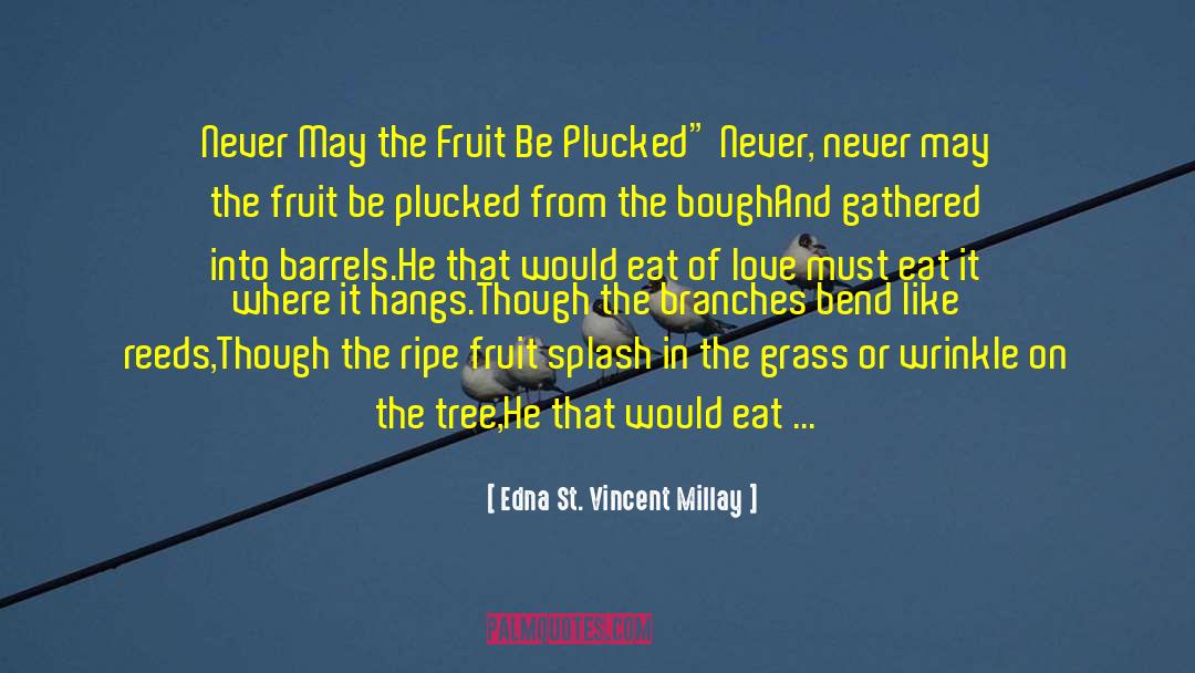 Ripe Fruit quotes by Edna St. Vincent Millay