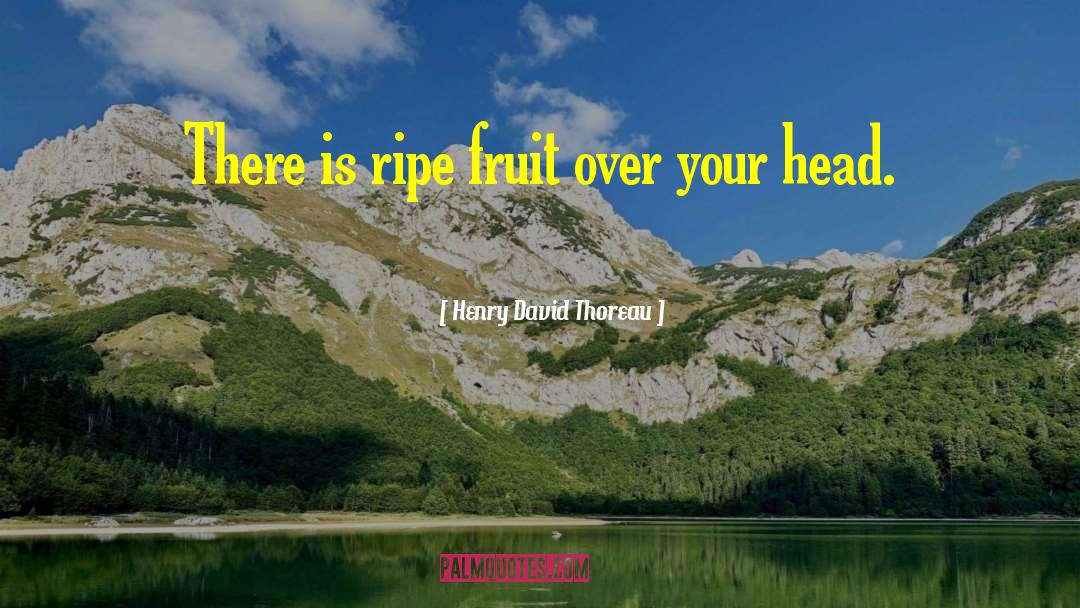 Ripe quotes by Henry David Thoreau