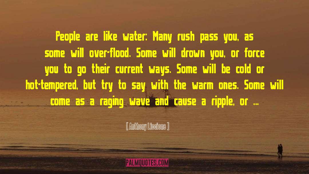 Ripple Dolphins quotes by Anthony Liccione