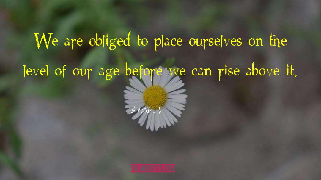 Rise Above It quotes by Voltaire