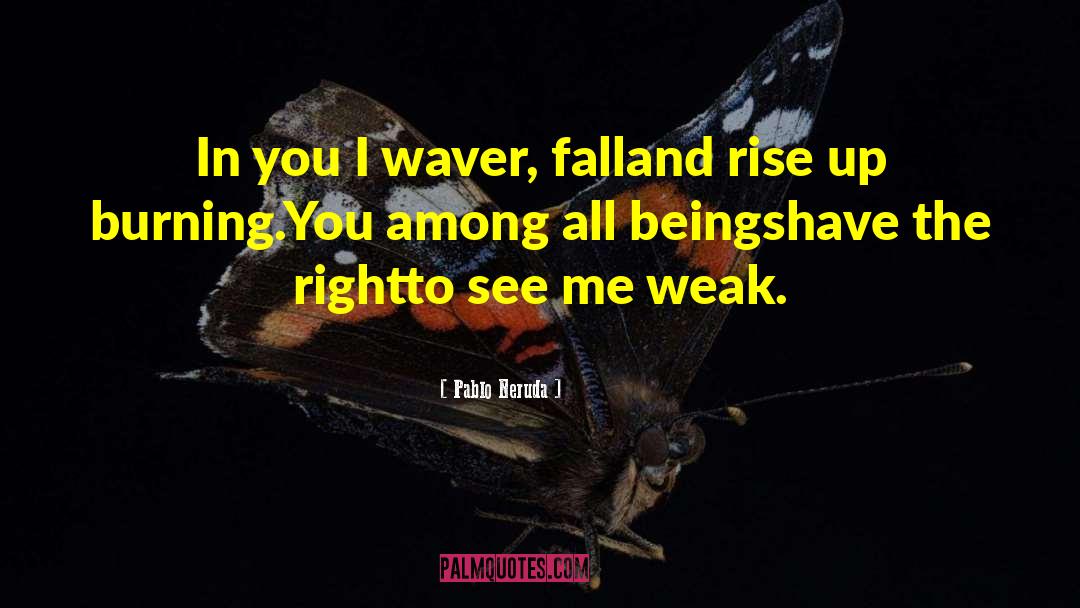 Rise Against quotes by Pablo Neruda