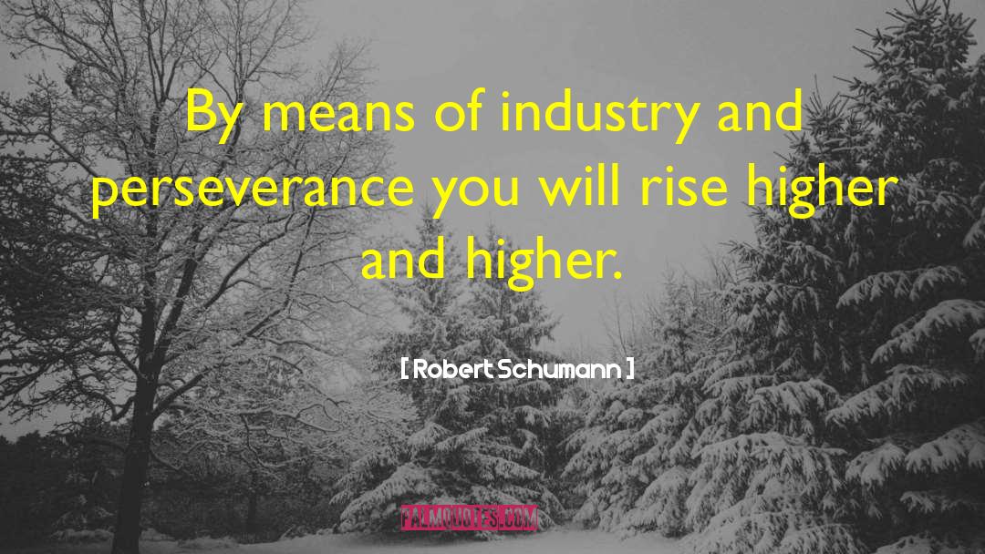 Rise Higher quotes by Robert Schumann