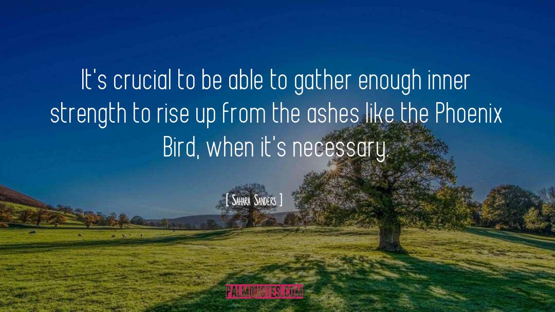 Rise Higher quotes by Sahara Sanders